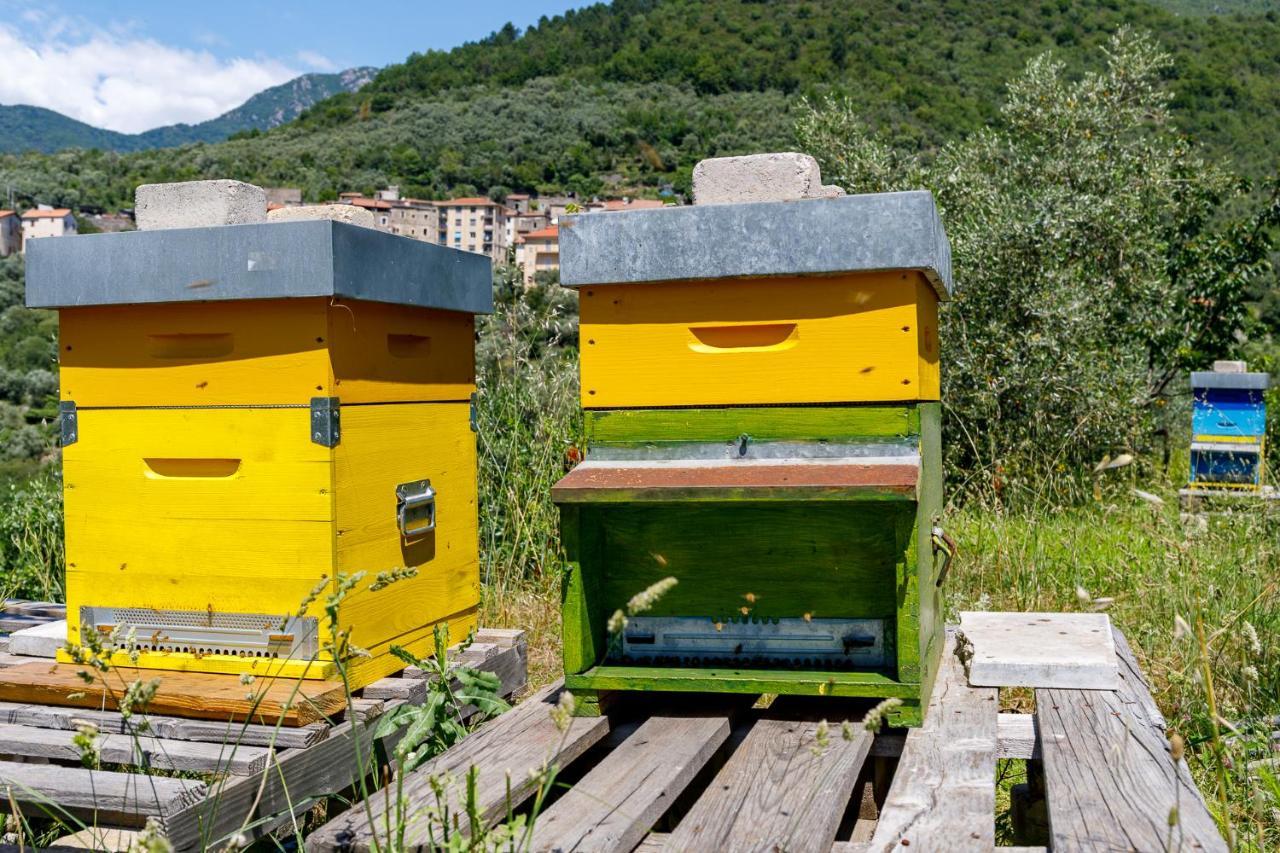Arve Castelbianco - B&B E Appartamento Colletta Bagian luar foto