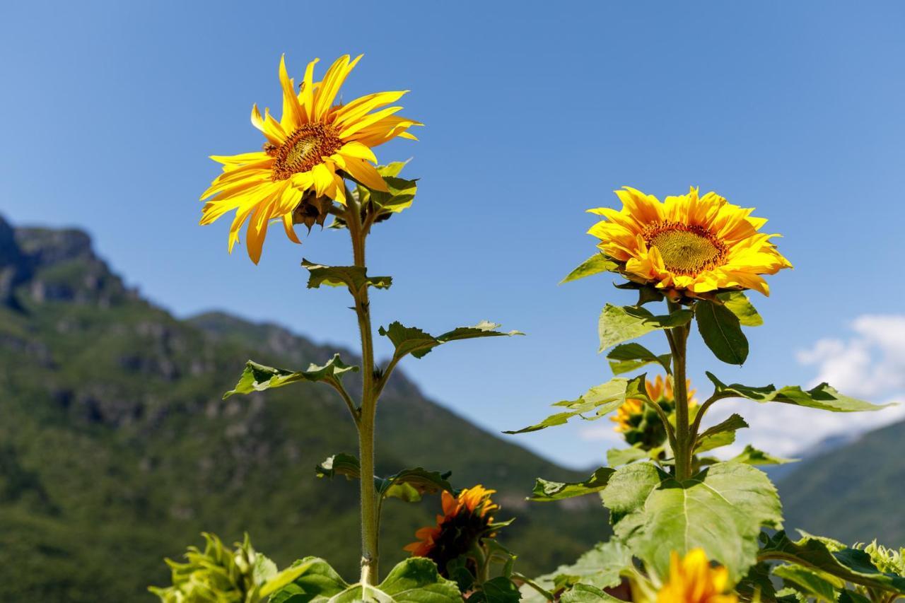 Arve Castelbianco - B&B E Appartamento Colletta Bagian luar foto
